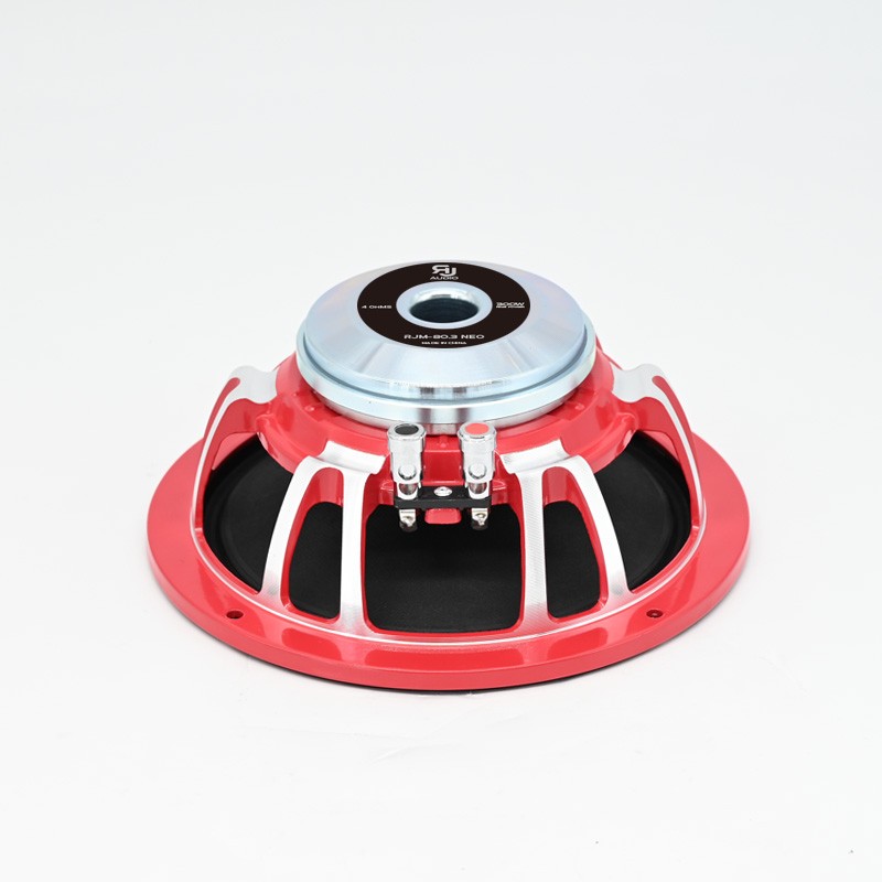 Médium 20cm 300wrms néodyme RJ Audio, idéal pour emplacement d'origine véhicules ou installation personnalisée à haut rendement.